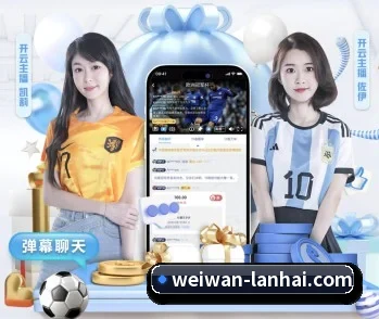 微玩体育的故事